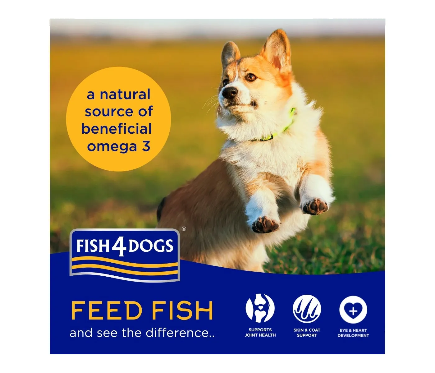 Fish4Dogs - Finest Adult Sardine and Sweet Potato (Small Kibble) - 1.5kg