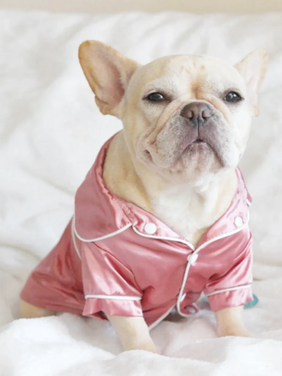 Luxury Soft Silky Dog Pajama